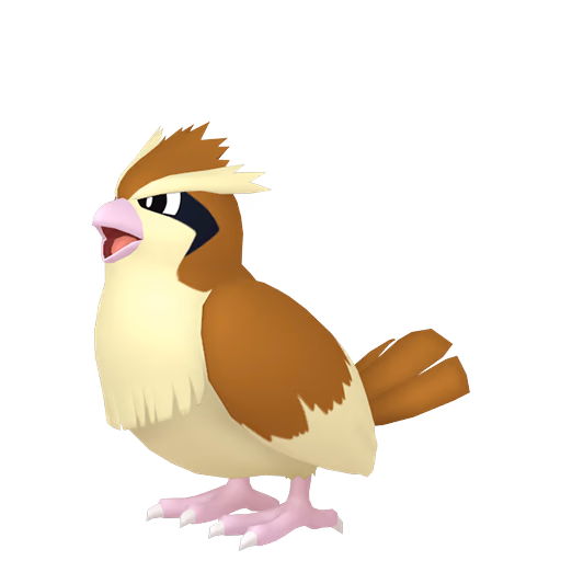 pidgey