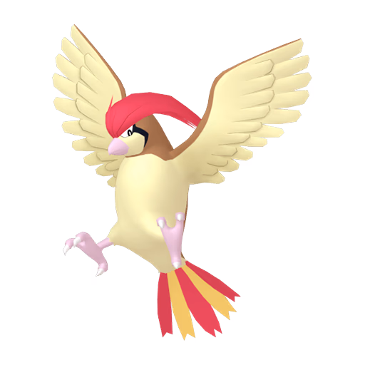 pidgeotto