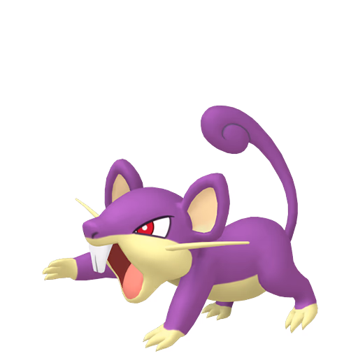 rattata