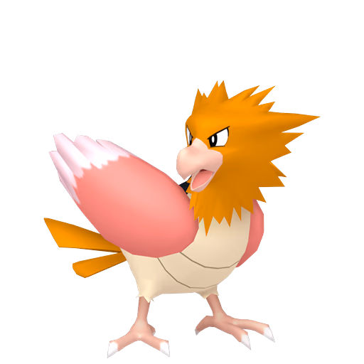 spearow