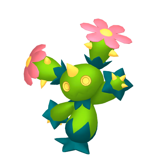 maractus