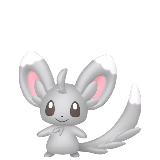 minccino