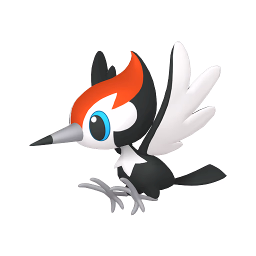 pikipek